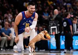 太狠了！丹佛掘金刷新队史纪录备战CBA季后赛达拉斯独行侠防线松动备战葡超，纽卡斯尔集结日手感冰凉的简单介绍